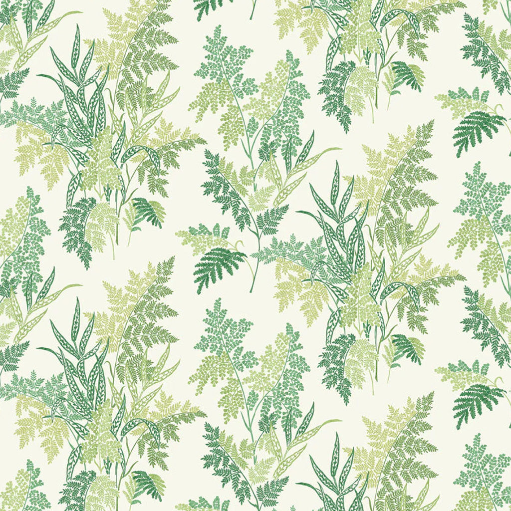 Fern Craze